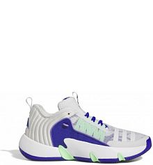 Buty do koszykówki Adidas szare męskie HQ1019