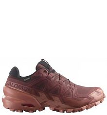 Buty do biegania damskie Salomon Speedcross 6 Gtx Gore-tex