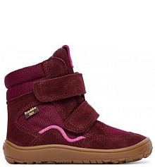 Kozaki Froddo bordowy dziecięce 