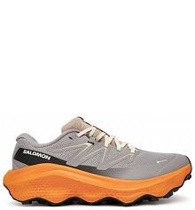 Buty do biegania Salomon szare męskie 