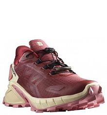 Buty do biegania damskie Salomon Supercross 4 Gtx