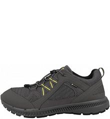 Buty do chodzenia męskie Ecco Terracruise Ll Gtx Tex 2025
