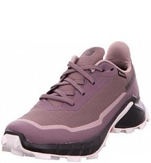 Buty do biegania damskie Salomon Alphacross 5 Gtx