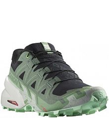 Buty do biegania w terenie damskie Salomon Speedcross 6