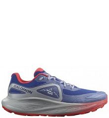 Buty sportowe męskie Salomon Glide Max TR Run The Alps