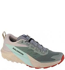 Buty do biegania męskie Salomon Sense Ride 5