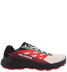 Buty do biegania męskie Salomon Alphaglide Gtx