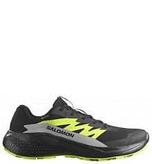 Buty do biegania męskie Salomon Alphaglide Gtx