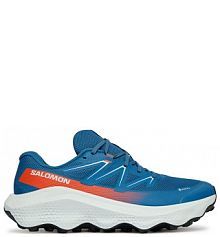 Buty do biegania Salomon niebieskie męskie 
