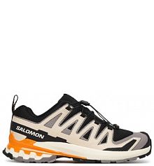 Buty trekkingowe niskie Salomon kolorowy męskie 